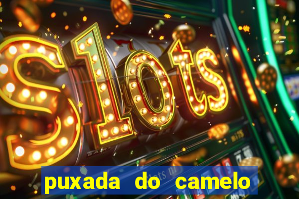 puxada do camelo jogo do bicho